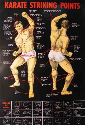 Poster KARATE Striking, Pressure Point Dim Mak Striking Points Poster. 19.5" X 30