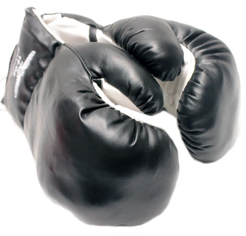 1 Pair Black 16oz Punching Boxing Gloves for Fighters by Rex