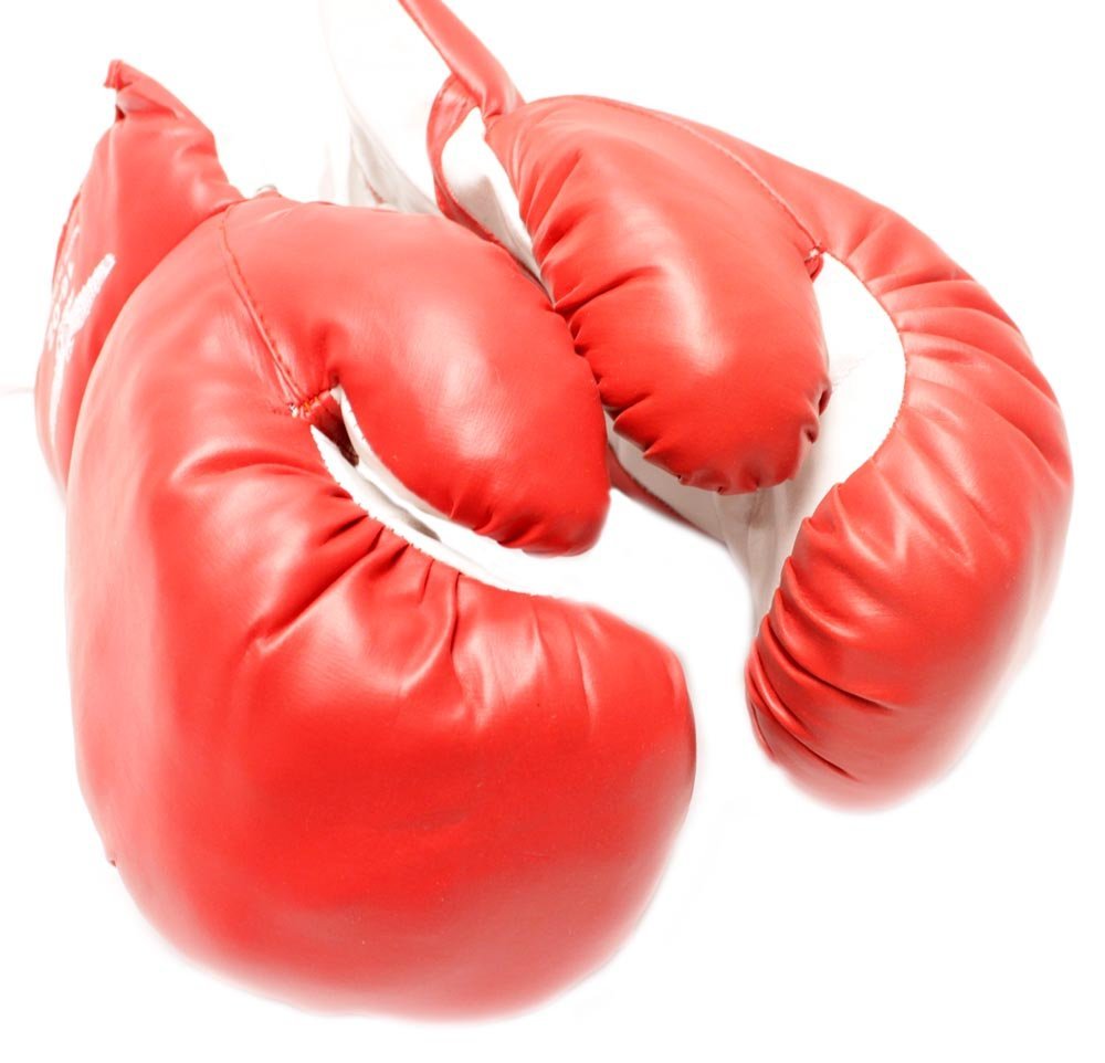 1 Pair of New Boxing / Punching Gloves and Fitness Training : Red - 16oz