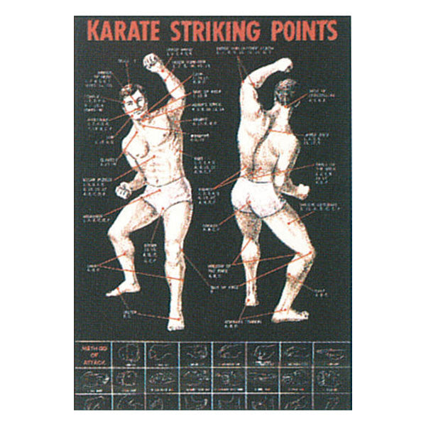 Karate Striking Point Poster - SparringGearSet.com