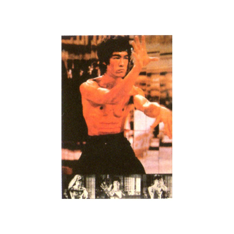 Bruce Lee Poster-81 - SparringGearSet.com